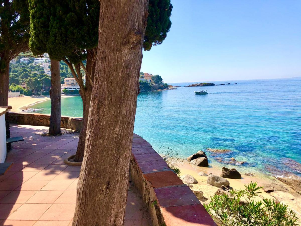 Magnifique Appartement En Front De Mer, Caneylles Roses Kültér fotó